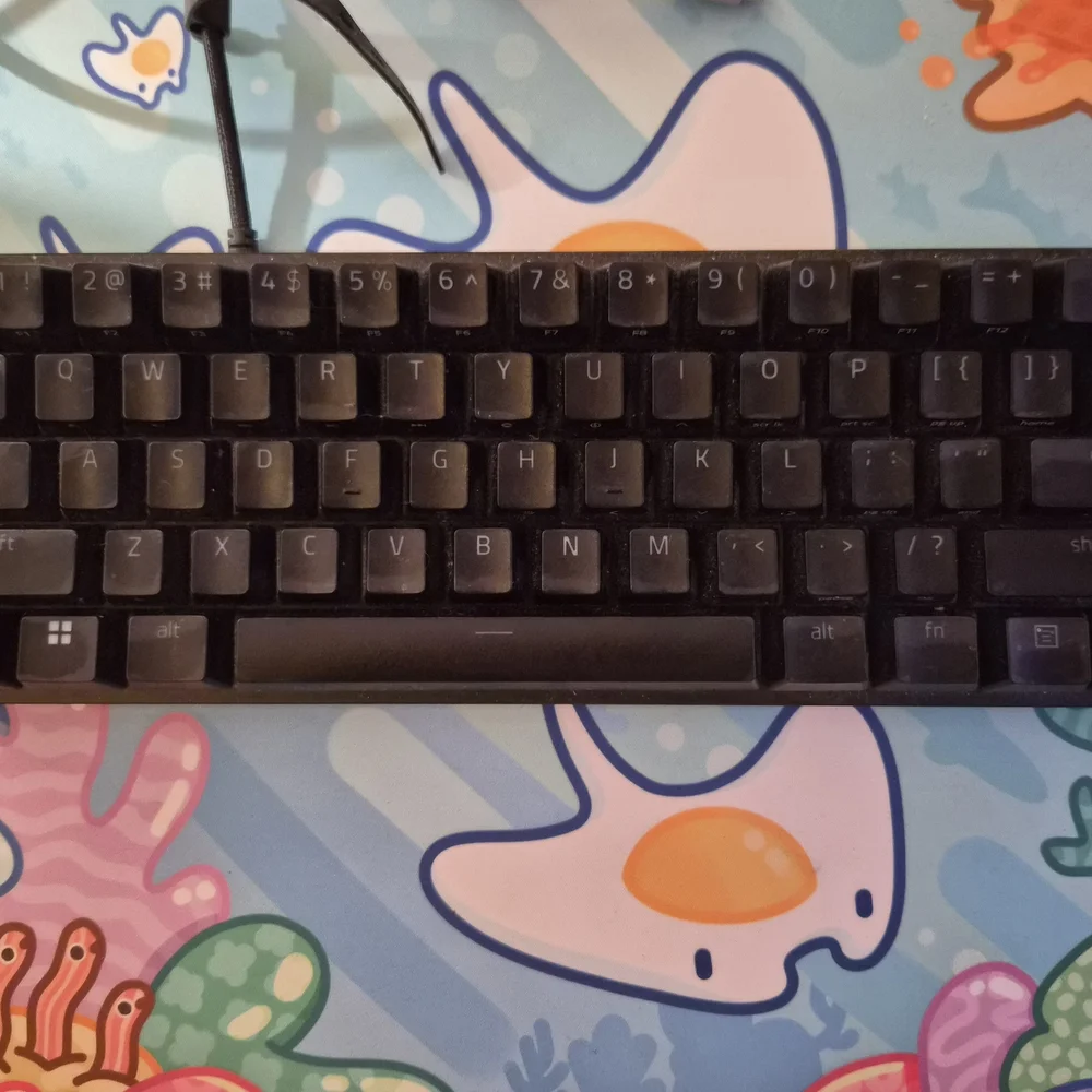 Razer huntsman mini